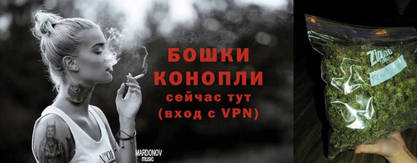 дживик Козельск