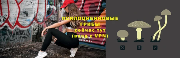 круглые Козловка