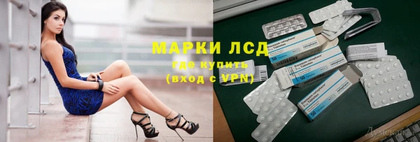 дживик Козельск