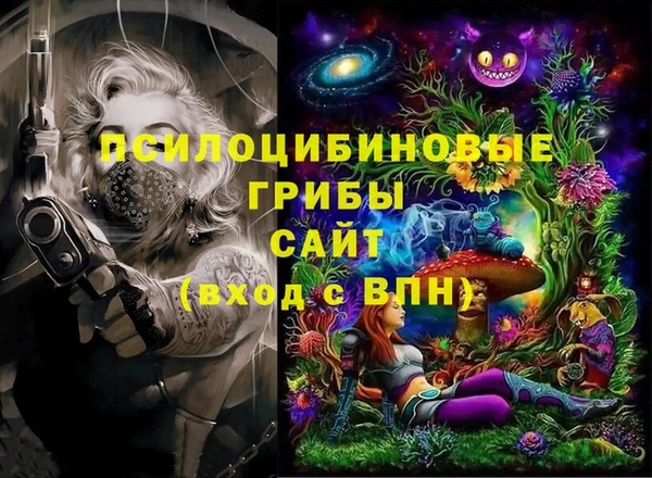дживик Козельск