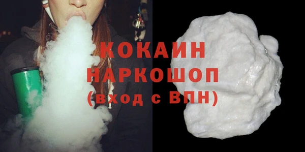 дживик Козельск