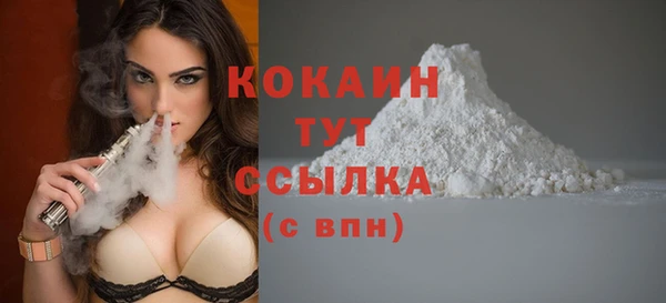 дживик Козельск