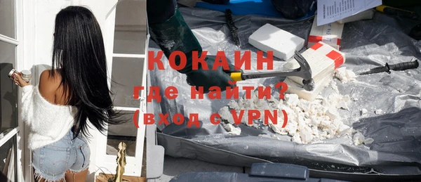дживик Козельск