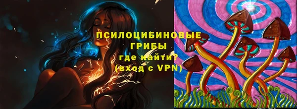 дживик Козельск