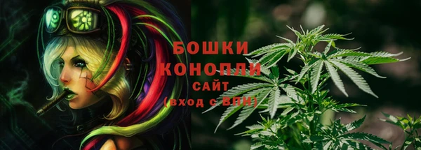 дживик Козельск