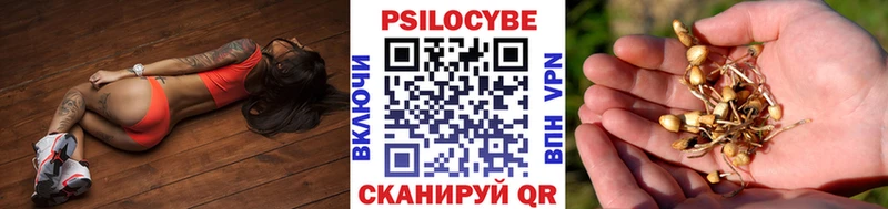 Купить где  Слободской  Галлюциногенные грибы ЛСД 